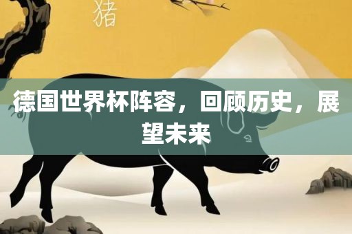 德国世界杯阵容，回顾历史，展望未来吉安市靖泰电力工程有限公司