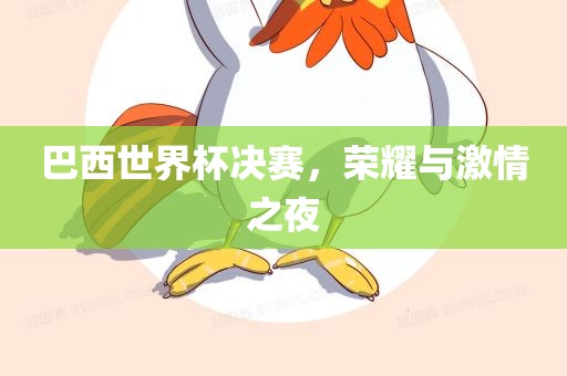 巴西世界杯决赛，荣耀与激情之夜