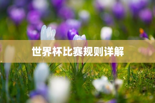 世界杯比赛规则详解