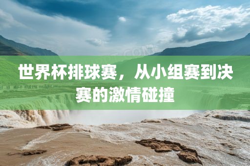 世界杯排球赛，从小组赛到决赛的激情碰撞