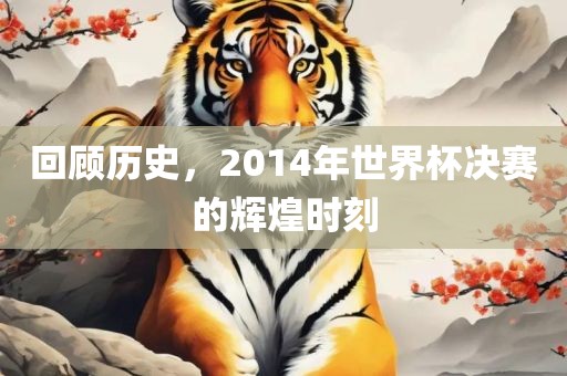 回顾历史，2014年世界杯决赛的辉煌时吉安市靖泰电力工程有限公司刻