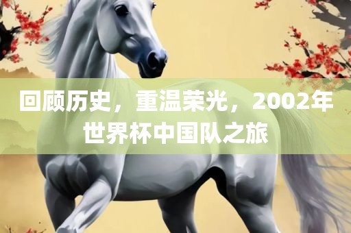 回顾历史，重温荣光，2002年世界杯中国队之旅