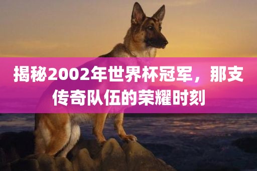 揭秘2002年世界杯冠军，那支传奇队伍的荣耀时刻