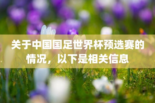 关于中国国足世界杯预选赛的情况，以下吉安市靖泰电力工程有限公司是相关信息