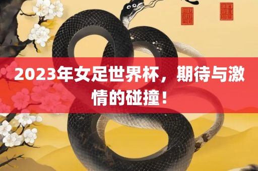 2023年女足世界杯，期待与激情的碰撞！