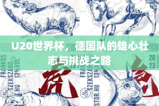U20世界杯，德国队的雄心壮志与挑战之路