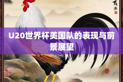 U20世界杯美国队的表现与前景展望