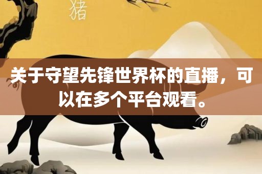 关于守望先锋世界杯的直播，可以在多个平台观看。