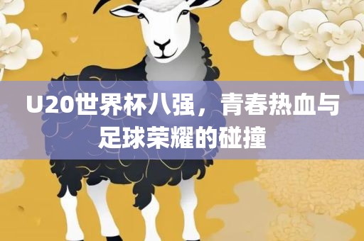 U20世界杯八强，青春热血与足球荣耀的碰撞