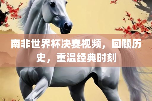 南非世界杯决赛视频，回顾历史，重温经典时刻