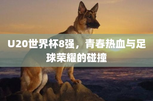 U20世界杯8强，青春热血与足球荣耀的碰撞
