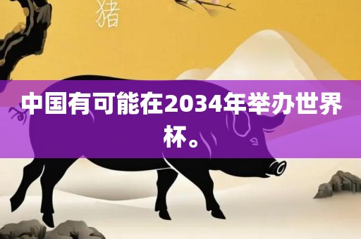 中国有可能在2034年举办世界杯。