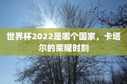 世界杯2022是哪个国家，卡塔尔的荣耀时刻