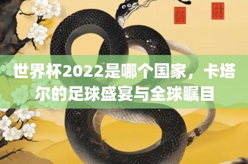 世界杯2022是哪个国家，卡塔尔的足球盛宴与全球瞩目