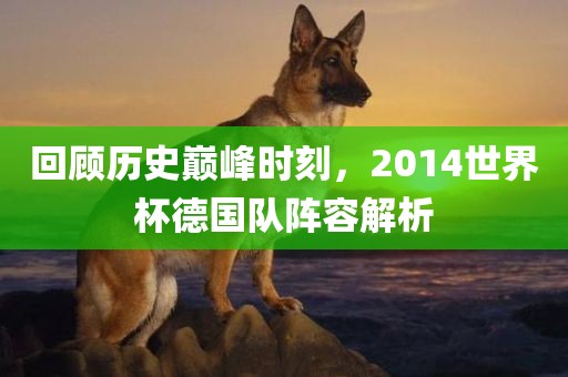 回顾历史巅峰时刻，2014世界杯德国队阵容解析