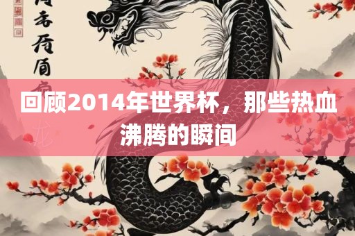 回顾2014年世界杯，那些热血沸腾的瞬间吉安市靖泰电力工程有限公司
