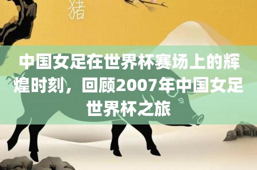 中国女足在世界杯赛场上的辉煌时刻，回顾2007年中国女足世界杯之旅