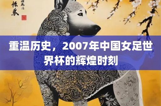 重温历史，2007年中国女足世界杯的辉煌时刻