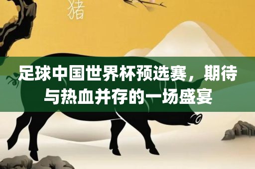 足球中国世界杯预选赛，期待与热血并存的一场盛宴