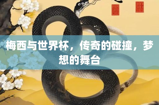 梅西与世界杯，传奇的碰撞，梦想的舞台