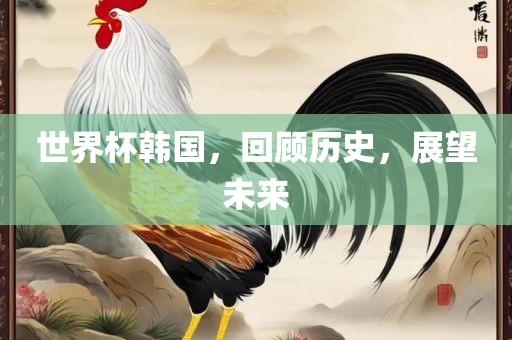 世界杯韩国，回顾历史，展望未来