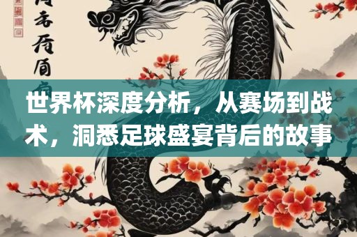世界杯深度分析，从赛场到战术，洞悉足球盛宴背后的故事吉安市靖泰电力工程有限公司