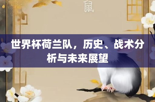 世界杯荷兰队，历史、战术分析与未来展望