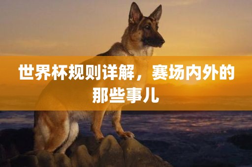 世界杯规则详解，赛场内外的那些事儿