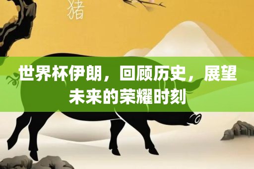 世界杯伊朗，回顾历史，展望未来的荣耀时刻